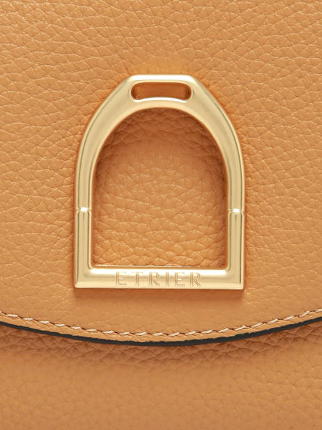 Sac Bandoulière Et épaule Shadow Cuir Etrier Jaune shadow ESHA163S vue secondaire 6